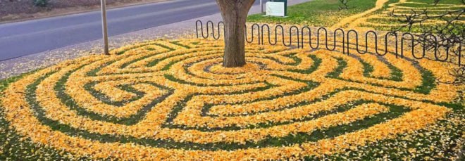 Joanna Hendrick, gingko leaves, gingko leaf art, sacramento state university leaf art, nature-based art, fall leaves, leaf design,