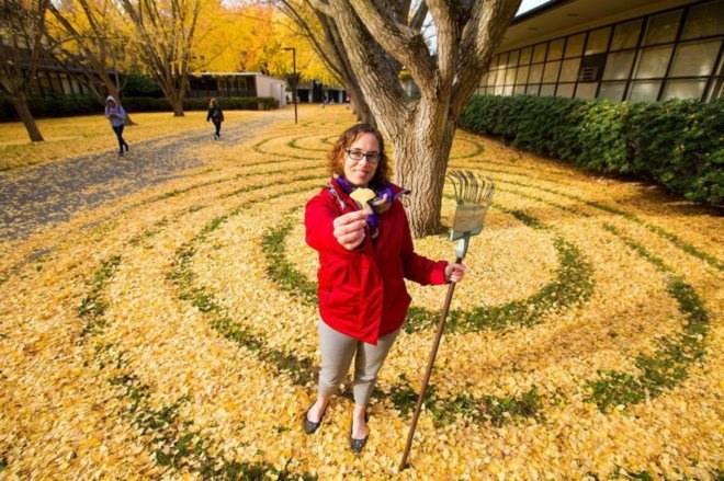 Joanna Hendrick, gingko trees, gingko leafs, gingko leaf art, sacramento state university, leaf art, nature-based art, fall leaves, art installation, raking leafs, university art, leaf design,
