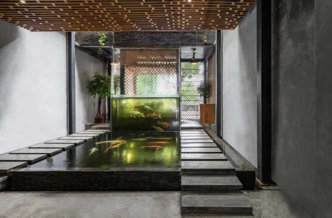 Koi Café, aquarium, Hanoi, Farming Architects, aquaponics, ecosystem, Vietnam, green interior, waterfall, sustainable food