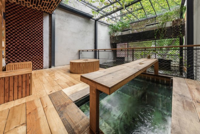 Koi Café, aquarium, Hanoi, Farming Architects, aquaponics, ecosystem, Vietnam, green interior, waterfall, sustainable food