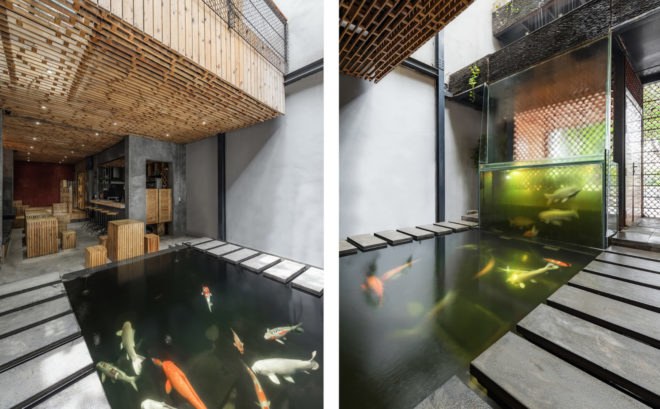 Koi Café, aquarium, Hanoi, Farming Architects, aquaponics, ecosystem, Vietnam, green interior, waterfall, sustainable food