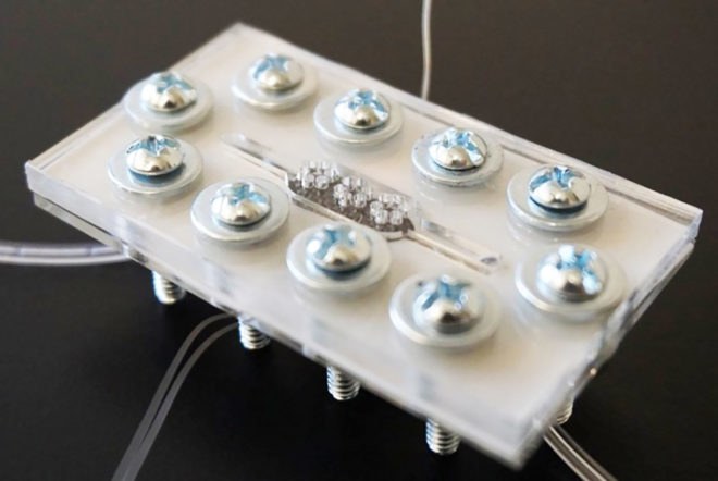 Binghamton University, bio-solar cell, biological solar cell, solar cells, solar cell, micro-scale solar cell