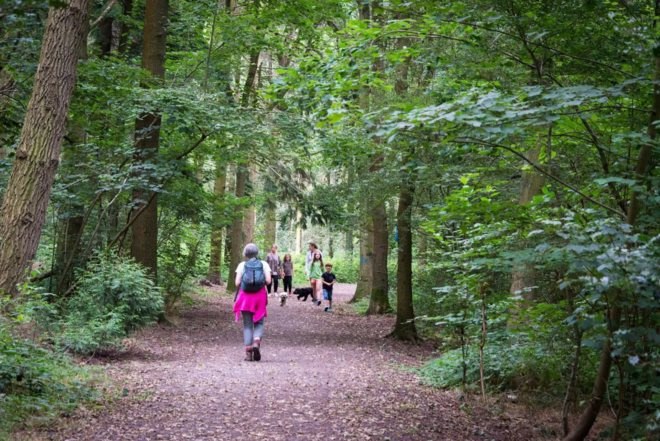 National Forest, United Kingdom, forest, tree, trees, hiking, hikers, family