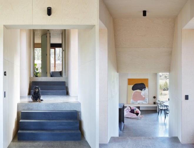 Two Halves Home by Moloney Architects, Two Halves Home, Moloney Architects, birch-faced plywood interior, Two Halves Home Australia, pavilion residence, modern timber-clad home, high bush fire rated modern house