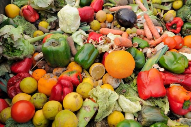 food waste, rotten fruits, rotten vegetables, rotten fruits and vegetables