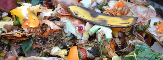 fruit and vegetable compost, composting, food waste, decomposing food