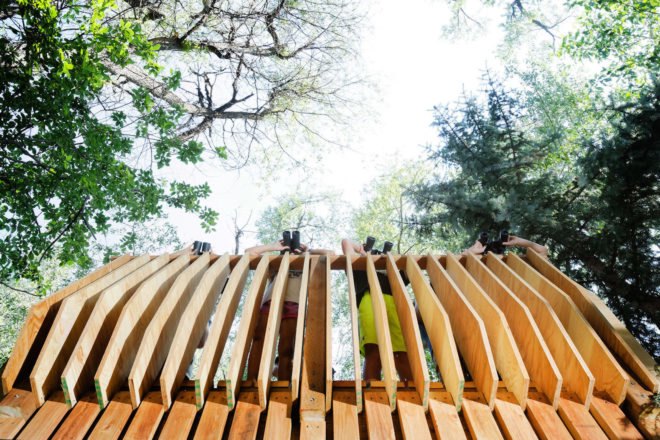 pro bono treehouse, ACES treehouse, ACES treehouse by Charles Cunniffe Architects, ACES treehouse by CCA, Aspen Center for Environmental studies treehouse, Hallam Lake treehouse, Aspen treehouse, CNC milled timber treehouse, plywood wildlife observation platform