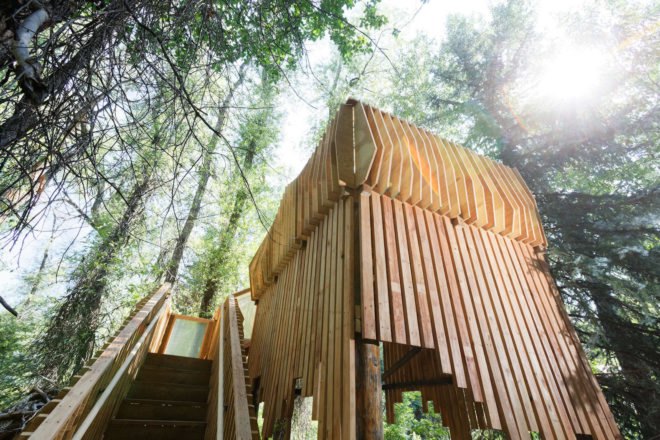 pro bono treehouse, ACES treehouse, ACES treehouse by Charles Cunniffe Architects, ACES treehouse by CCA, Aspen Center for Environmental studies treehouse, Hallam Lake treehouse, Aspen treehouse, CNC milled timber treehouse, plywood wildlife observation platform