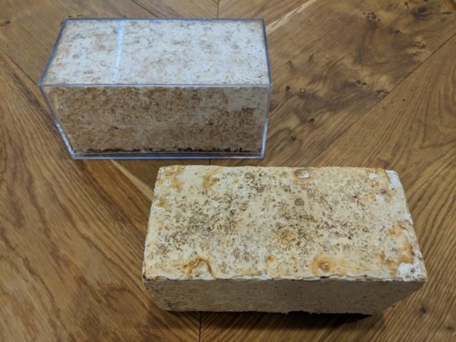 Biocycler, redhouse studios, recycled materials, recycled buildings, recycled building materials, biomaterials, fungus biomaterials