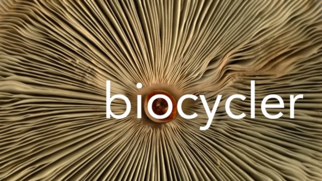 Biocycler, redhouse studios, recycled materials, recycled buildings, recycled building materials, biomaterials, fungus biomaterials