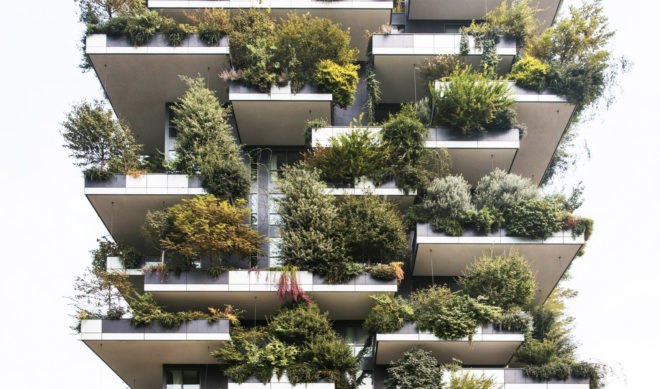 Eindhoven, Eindhoven vertical forest, Eindhoven vertical forest, Eindhoven housing, Stefano Boeri, Eindhoven Stefano Boeri, Stefano Boeri, Stefano Boeri vertical forest, vertical forest, Trudo Vertical Forest, urban design, urban forestry, urban gardens, Vertical Forest, Stefano Boeri Architetti Vertical Forest, Stefano Boeri Architetti