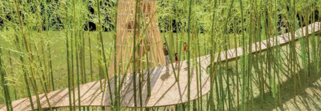 Jae-Eun Choi, Shigeru Ban, "Dreaming of Earth", Korean DMZ, Korean dmz bridge, bamboo peace bridge korea, peace bridge Korea DMZ, elevated bamboo bridge