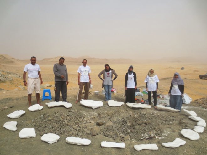 Mansourasaurus shahinae, Mansourasaurus, fossil, fossils, dinosaur, Egypt, field team