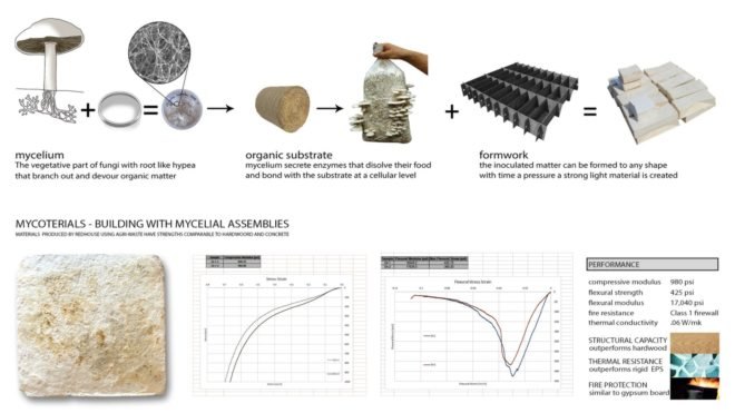 Mycoterials, mycoterials infographic, Biocycler, redhouse studios, recycled materials, recycled buildings, recycled building materials, biomaterials, fungus biomaterials