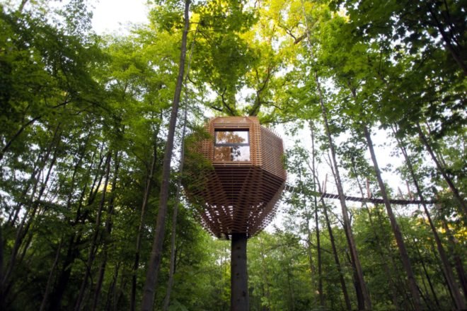 Atelier LAVIT, Origin Tree House, treehouse design, birds nest treehouse, forest treehouse, treehouse pod, spa treehouse, treehouse construction, french treehouse, sophisticated treehouse, cabin design, wooden cabins