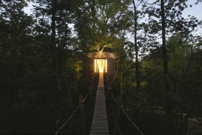 Atelier LAVIT, Origin Tree House, treehouse design, birds nest treehouse, forest treehouse, treehouse pod, spa treehouse, treehouse construction, french treehouse, sophisticated treehouse, cabin design, wooden cabins