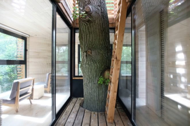 Atelier LAVIT, Origin Tree House, treehouse design, birds nest treehouse, forest treehouse, treehouse pod, spa treehouse, treehouse construction, french treehouse, sophisticated treehouse, cabin design, wooden cabins