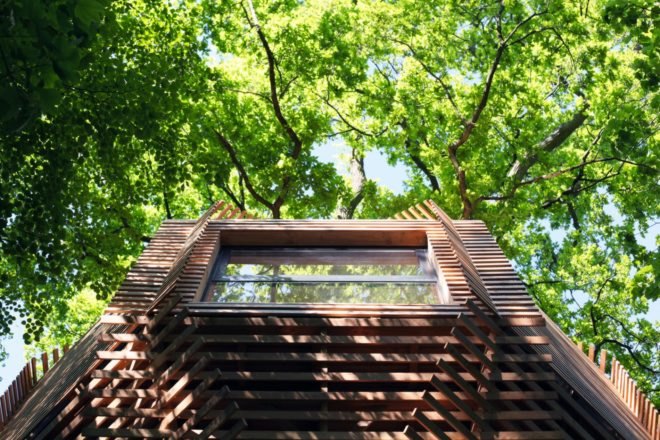 Atelier LAVIT, Origin Tree House, treehouse design, birds nest treehouse, forest treehouse, treehouse pod, spa treehouse, treehouse construction, french treehouse, sophisticated treehouse, cabin design, wooden cabins