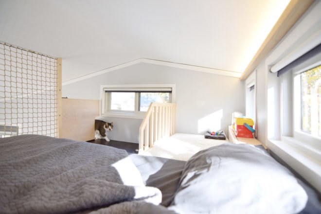SHED tiny house, tiny house, tiny home, loft, sleeping, cat