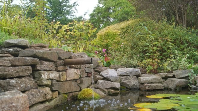 Tricia Hamilton, Somerset cottage, cottage for sale, housing competition, real estate sales, mortgage free home, cottage on auction, uk cottages, uk cottage sale, cheap houses, cheap cottage for sale uk, uk cottage homes, uk real estate, buying a home in uk