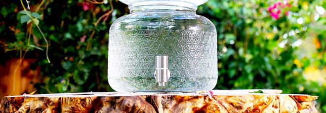 Live Water, Mukhande Singh, raw water, raw spring water, spring water, mountain spring water, is raw water safe, is raw water healthy, should you drink raw water, is it safe to drink raw water