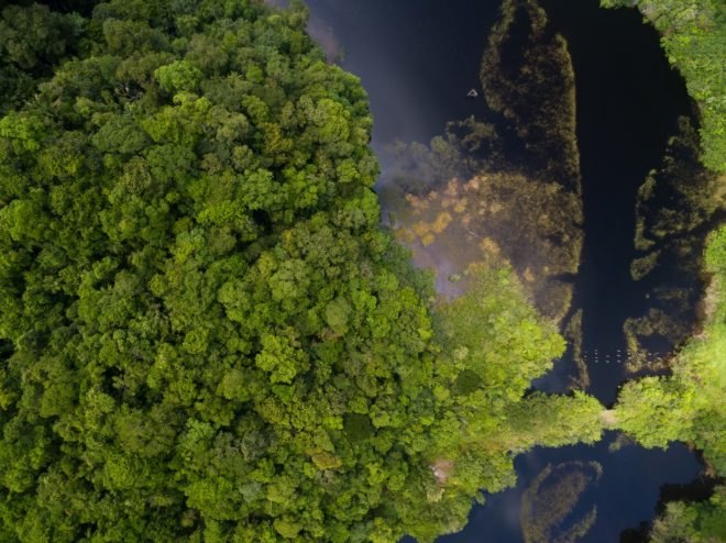 Amazon River, Amazon Rainforest, Amazon Peru, Amazon River aerial
