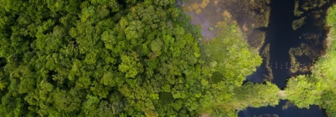 Amazon River, Amazon Rainforest, Amazon Peru, Amazon River aerial