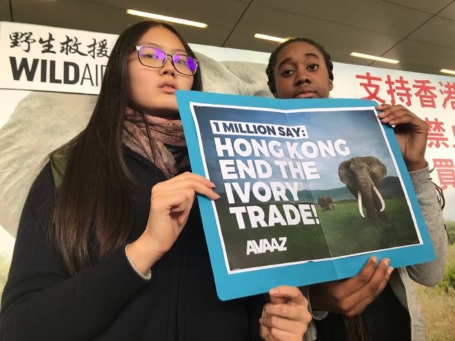 Hong Kong, protesters, Hong Kong protesters, ivory trade protesters, ivory protesters, Avaaz, Avaaz protesters