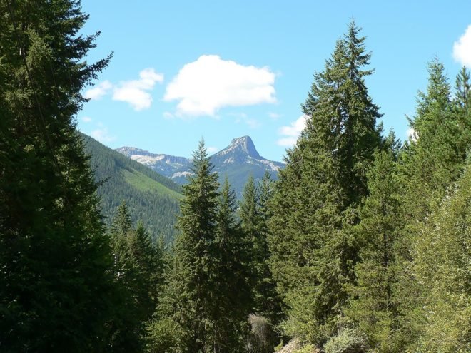 Frog Mountain, Slocan Valley, British Columbia, Sinixt, Sinixt Nation, mountain, trees