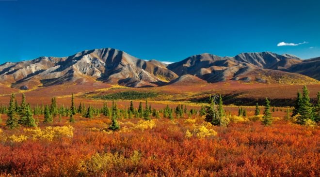 Denali National Park, Alaska, Alaska permafrost, Alaska landscape