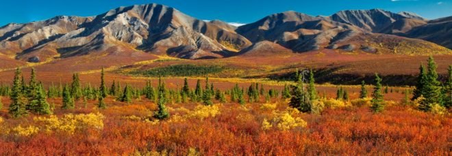 Denali National Park, Alaska, Alaska permafrost, Alaska landscape