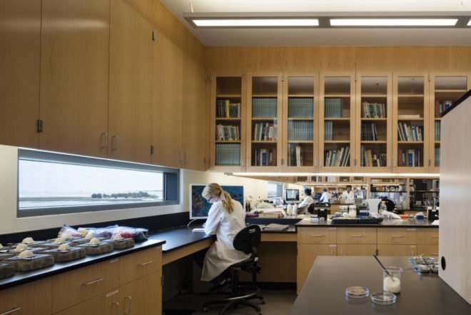 Dr. Orrin H. Pilkey Research Laboratory by GLUCK+, Collisional Commons, Duke University Marine Laboratory, Dr. Orrin H. Pilkey Research Laboratory, LEED Gold laboratory, LEED research facility, Pilkey lab in North Carolina
