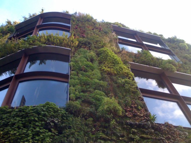 green wall, living wall, green wall Paris, sustainable building, green building