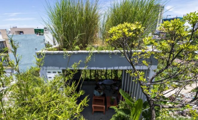 Ho Khue Architects, The Modern Village Office, green office, green office design, green office vietnam, office design, sustainable design, vietnam architecture, greenery in offices, vegetation in offices, office vegetation, green buildings, rooftop gardens,