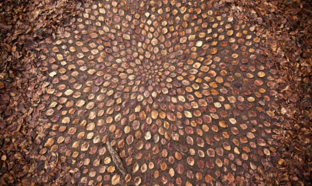 Artist Uses Materials Found In Nature To Create Elaborate Cairns And 