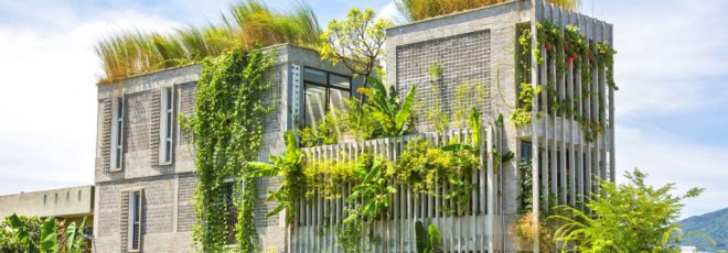Modern-Village-Office-Ho-Khue-Architects