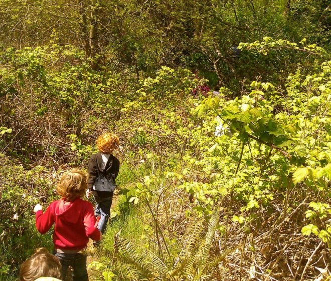 Nature Kids Preschool, Discovery Park Nature Preschool, nature preschool, preschool, nature, kids, children
