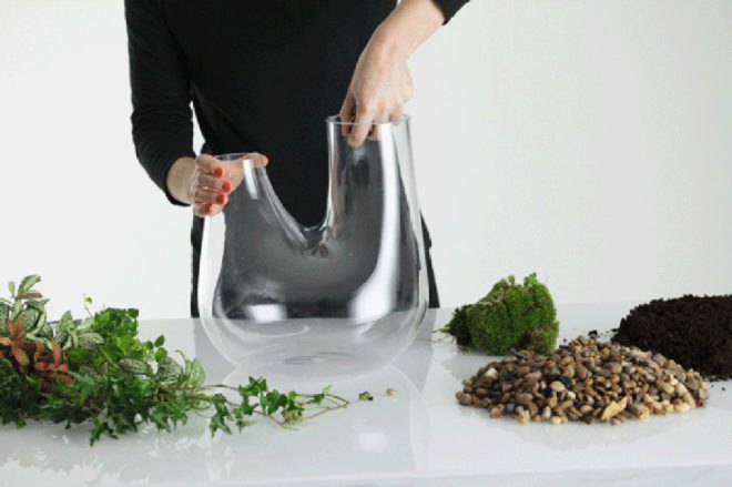 Tom Dixon, Maison et Objet, DIY terrariums, mouth-blown glass, terrariums, DIY, green design, succulents