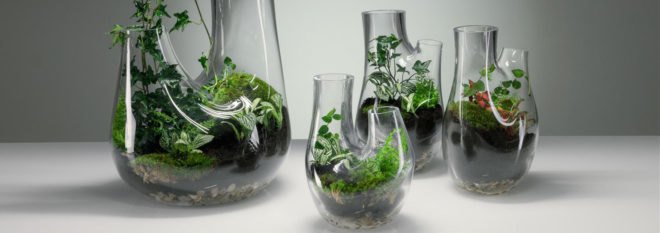 Tom Dixon, Maison et Objet, DIY terrariums, mouth-blown glass, terrariums, DIY, green design, succulents