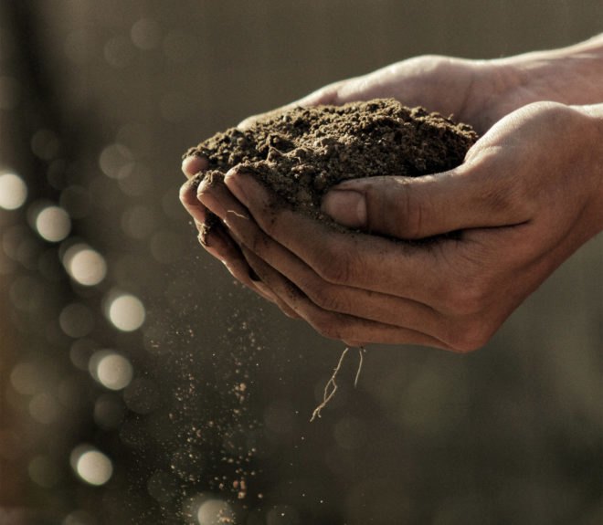 Dirt, soil, hands, brown, garden, land