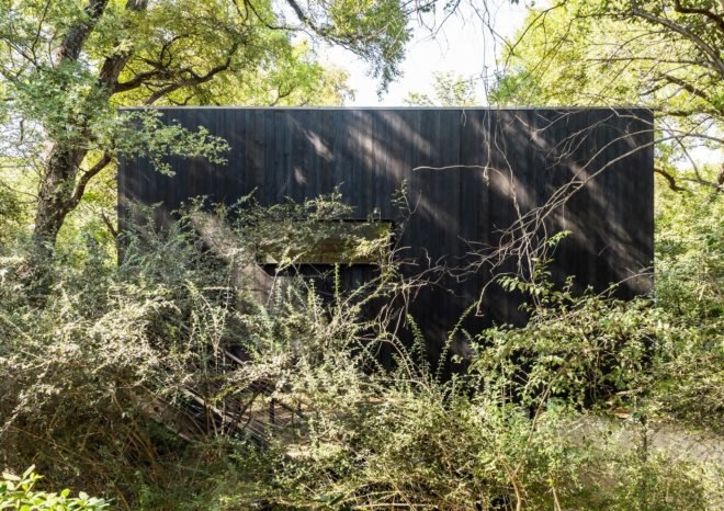 Treehouse, Texas, PH2 Treebox, Wernerfield, guest house, Dallas, elevated house, charred wood, green architecture, staircase, burnt wood