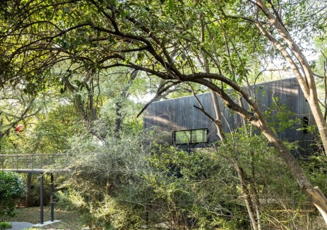 Treehouse, Texas, PH2 Treebox, Wernerfield, guest house, Dallas, elevated house, charred wood, green architecture, staircase, burnt wood