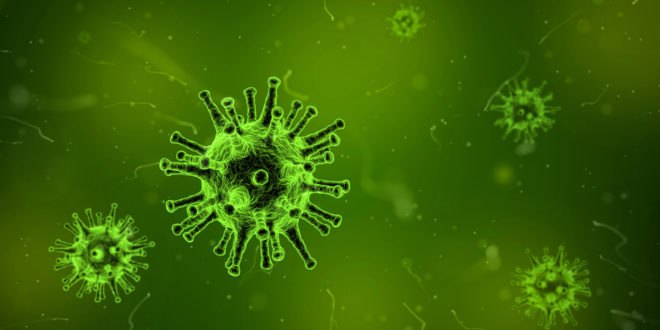 Virus, cells, virus cells, green dye, science, virus cells in green dye