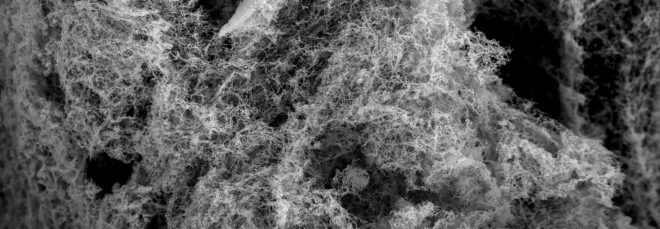 Washington State University, nanofoam, nanofoam catalyst, catalyst, hydrogen, water-splitting