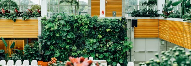 living walls, green wall, green wall construction, green building, sustainable building, living wall, sustainable design, green design, green interiors
