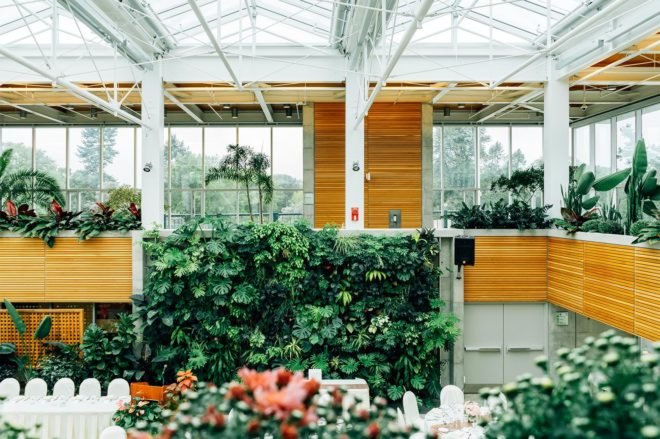 living walls, green wall, green wall construction, green building, sustainable building, living wall, sustainable design, green design, green interiors