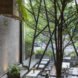 An’garden Café, coffee shop, handing plants, Ha Noi, Vietnam, cement, mezzanine, natural light, indoor pond, green interior, green architecture, industrial architecture