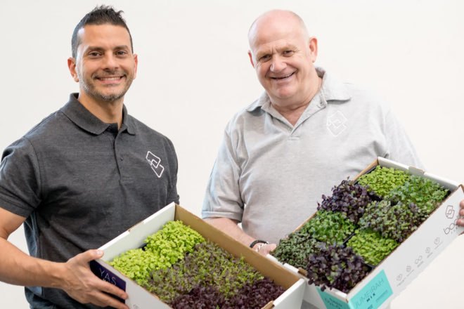 Badia Farms, food, produce, greens, farmers, microgreens