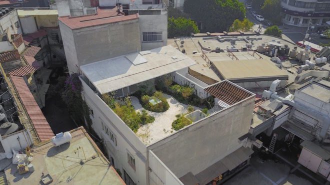 Case Verne by Zeller & Moye, native rooftop garden in Mexico City, Casa Verne Mexico City, renovated Art Deco townhouse, Mexico City townhouse renovation, cut marble pebble flooring, rooftop oasis in Mexico City