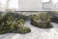 Case Verne by Zeller & Moye, native rooftop garden in Mexico City, Casa Verne Mexico City, renovated Art Deco townhouse, Mexico City townhouse renovation, cut marble pebble flooring, rooftop oasis in Mexico City